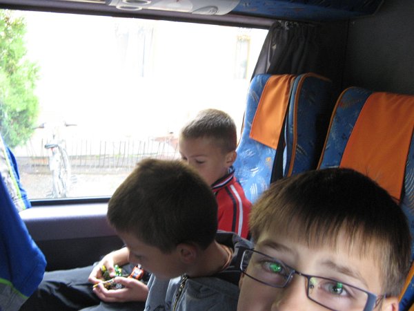 Szarvas 002